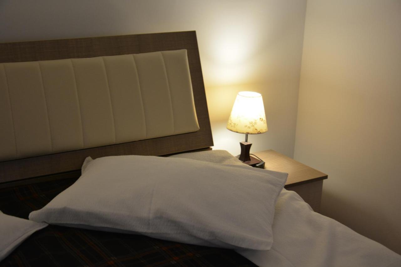 Hotel Casa Leu Curtea de Argeş Zewnętrze zdjęcie