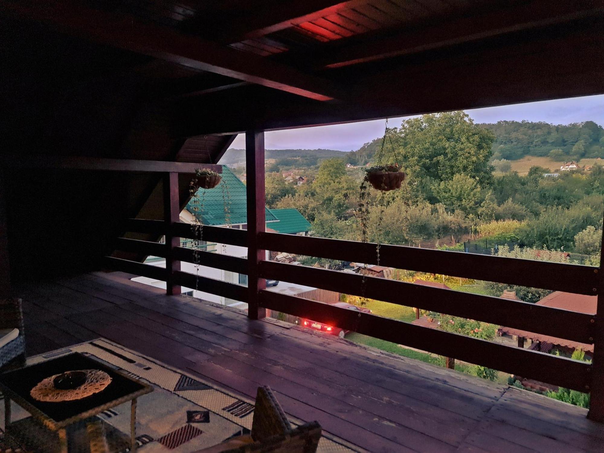 Hotel Casa Leu Curtea de Argeş Zewnętrze zdjęcie