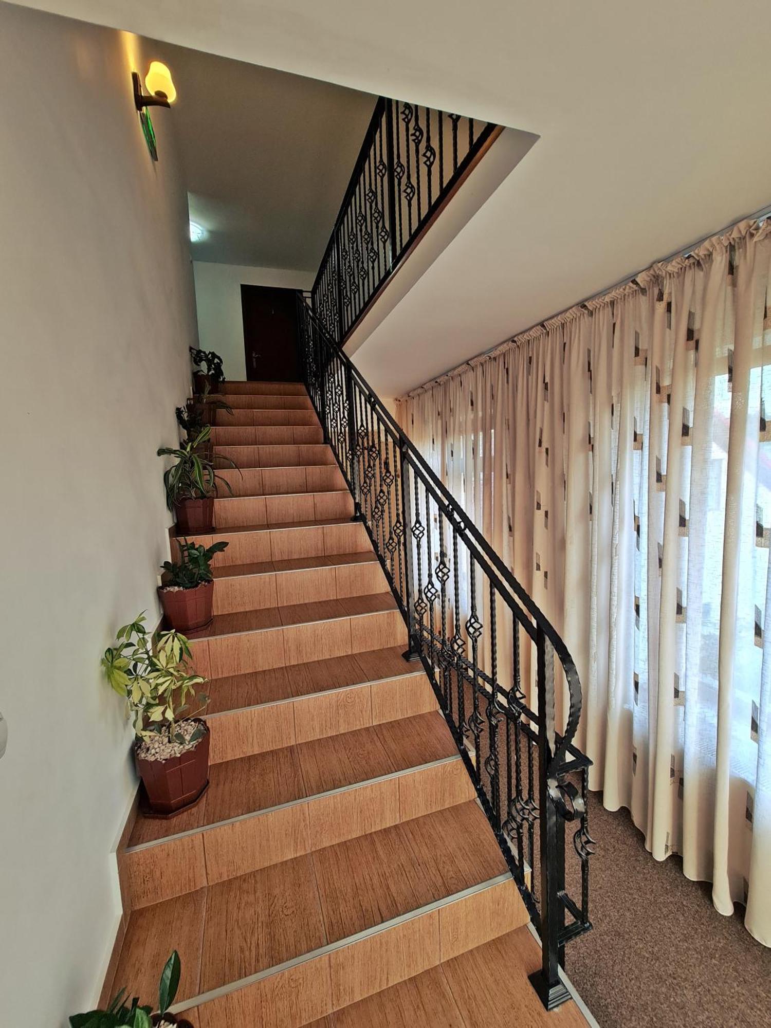 Hotel Casa Leu Curtea de Argeş Zewnętrze zdjęcie